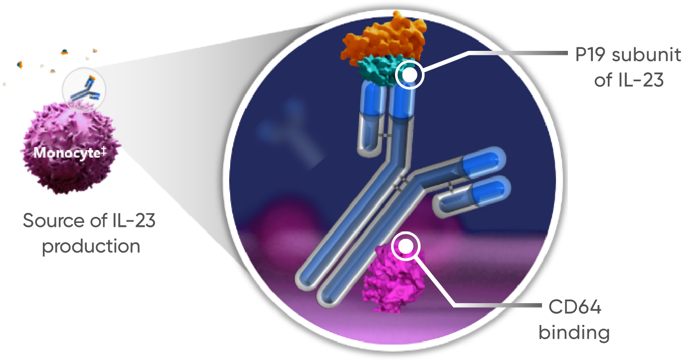 TREMFYA® (guselkumab) dual-acting functionality