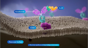 Watch the TREMFYA® (guselkumab) molecular structure video